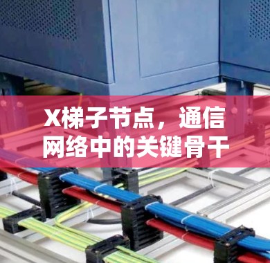 X梯子节点,通信网络中的关键骨干节点 X梯子节点,通信网络中的关键骨干节点