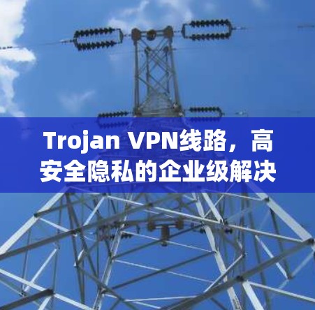Trojan VPN线路,高安全隐私的企业级解决方案 Trojan VPN线路,高安全隐私的企业级解决方案