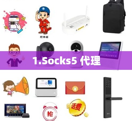 1.Socks5 代理 1.Socks5 代理