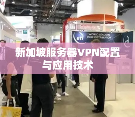 新加坡服务器VPN配置与应用技术 新加坡服务器VPN配置与应用技术