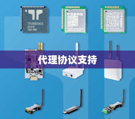 代理协议支持 代理协议支持