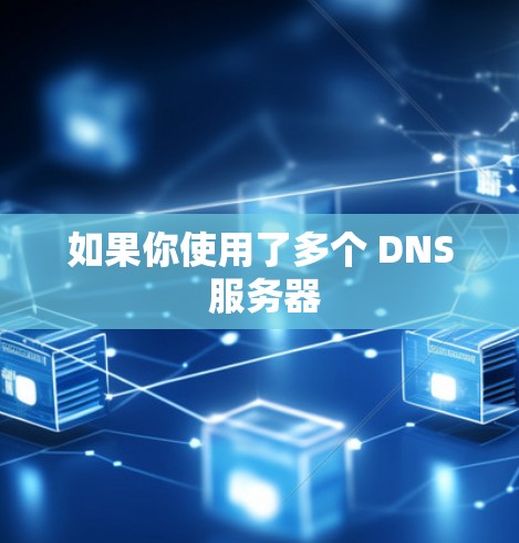 如果你使用了多个 DNS 服务器 如果你使用了多个 DNS 服务器
