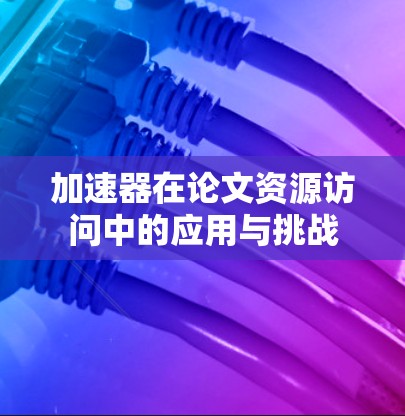 加速器在论文资源访问中的应用与挑战