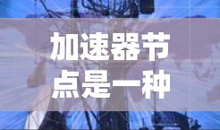 加速器节点是一种用于加速特定任务的节点,常见于分布式网络和区块链环境中。它通过优化资源分配和网络路径,显著提升任务执行效率。以下是如何使用加速器节点的分步指南 加速器节点是一种用于加速特定任务的节点,常见于分布式网络和区块链环境中。它通过优化资源分配和网络路径,显著提升任务执行效率。以下是如何使用加速器节点的分步指南