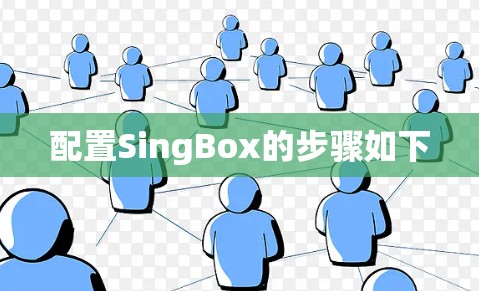 配置SingBox的步骤如下