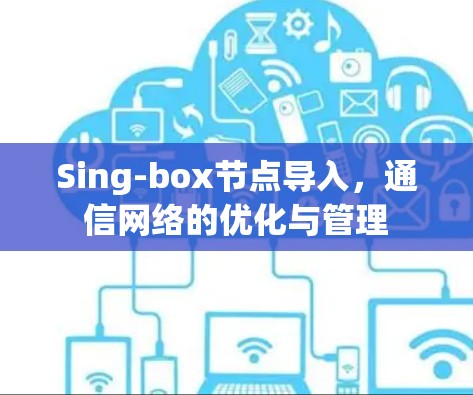Sing-box节点导入，通信网络的优化与管理