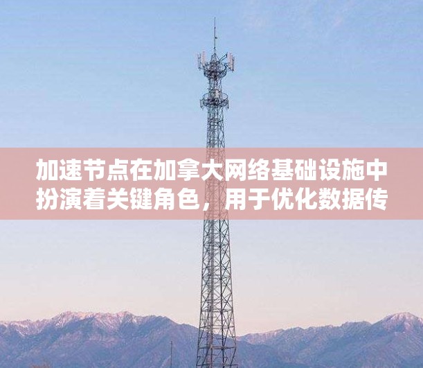 加速节点在加拿大网络基础设施中扮演着关键角色,用于优化数据传输和处理,提升整体网络性能。以下是对加速节点的详细分析 加速节点在加拿大网络基础设施中扮演着关键角色,用于优化数据传输和处理,提升整体网络性能。以下是对加速节点的详细分析