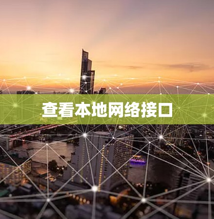 查看本地网络接口 查看本地网络接口