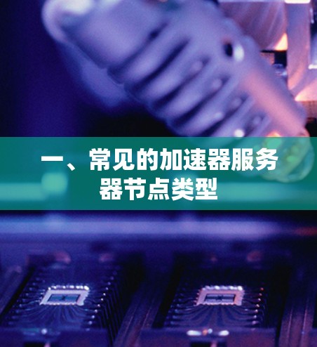 一、常见的加速器服务器节点类型 一、常见的加速器服务器节点类型