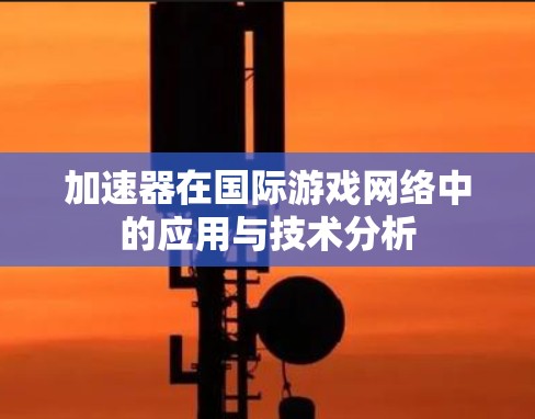 加速器在国际游戏网络中的应用与技术分析