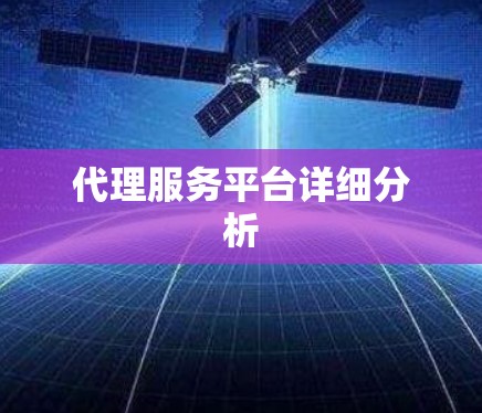 代理服务平台详细分析