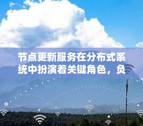 节点更新服务在分布式系统中扮演着关键角色，负责管理和更新节点信息，确保系统的高效运行。以下是对节点更新服务的详细分析和总结