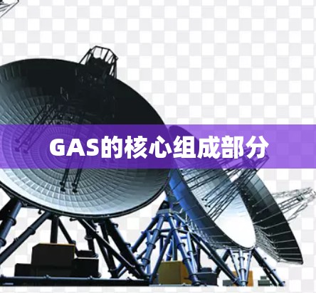 GAS的核心组成部分