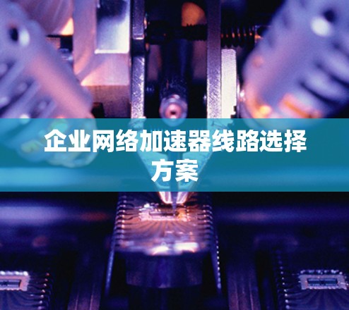 企业网络加速器线路选择方案