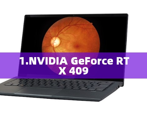 1.NVIDIA GeForce RTX 409