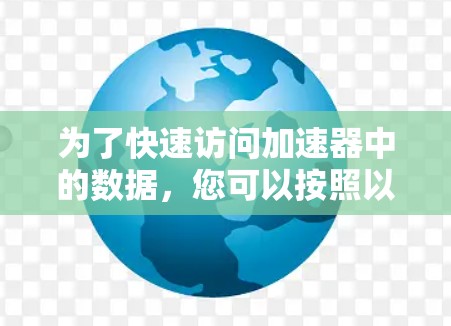 为了快速访问加速器中的数据，您可以按照以下步骤进行