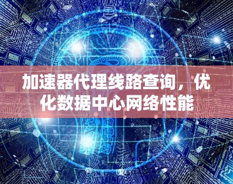 加速器代理线路查询，优化数据中心网络性能