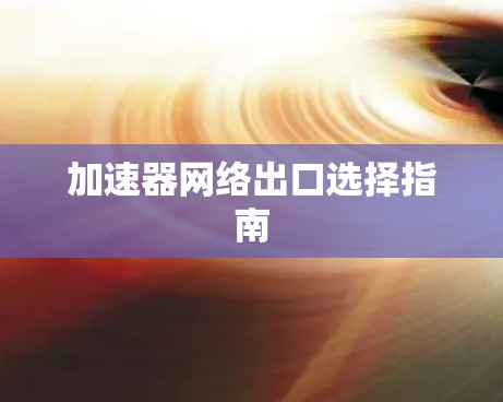 加速器网络出口选择指南