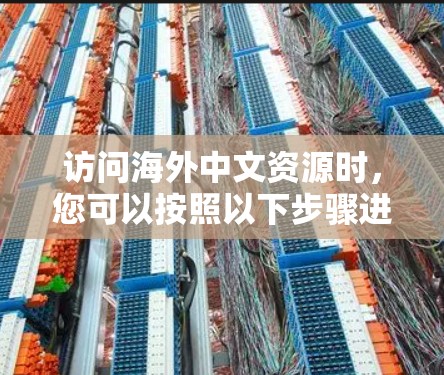 访问海外中文资源时,您可以按照以下步骤进行 访问海外中文资源时,您可以按照以下步骤进行