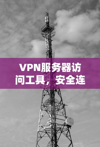 VPN服务器访问工具，安全连接与隐私保护