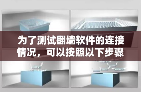 为了测试翻墙软件的连接情况，可以按照以下步骤进行