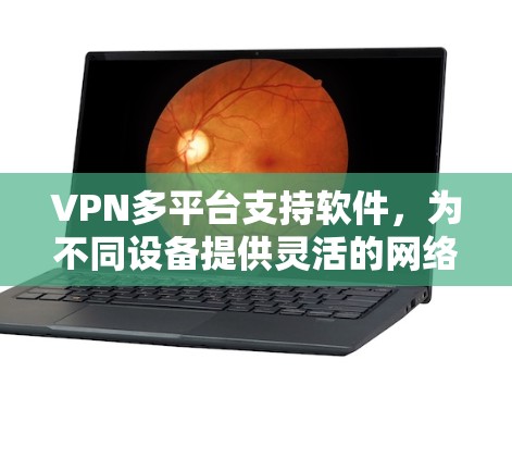 VPN多平台支持软件，为不同设备提供灵活的网络访问解决方案
